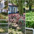 Jardim Botânico e Casa das Culturas de Santos recebem cuidados paisagísticos