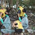 Ação retira meia tonelada de lixo de manguezal em Santos