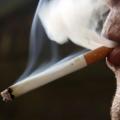 close de pessoa fumando. #paratodosverem