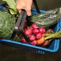 mão carrega cesta com alimentos #paratodosverem 