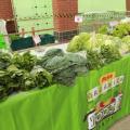 Verduras em cima de mesa na feira de orgânicos #paratodosverem