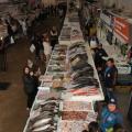 pessoas olhando peixes #paratodosverem