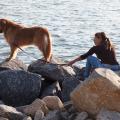 mulher e cachorro estão em pedras beira mar #paratodosverem 