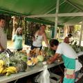 Domingo tem mais uma edição da feira de orgânicos no Botânico de Santos