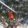 HOmem está no cesto de um braço de caminhão basculante fazendo a poda de galhos de uma árvore. #Paratodosverem
