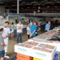 boxes com exposição de peixes e pessoas circulando. #paratodosverem