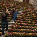 Santistas se encantam e tiram fotos com a decoração florida da Primavera Criativa