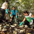 Ação ambiental retira 313 quilos de resíduos de mangue em Santos