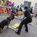 Guarda orienta cachorro em apresentação com crianças assistindo #paratodosverem