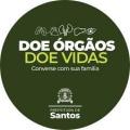 card do evento #paratodosverem 
