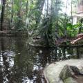 Parques de Santos abrem com limitações para evitar aglomerações
