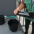 Vistoria semanal de armadilhas do Aedes aegypti mostra índice de infestação nos bairros de Santos