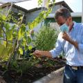 medico mexe em horta com plantas #paratodosverem