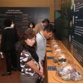 pessoas observam pedras em exposição #paratodosverem