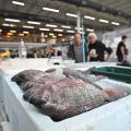pessoas olhando peixe no mercado #paratodosverem 