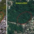 três imagens de satélite de área em santos que estava desmatada e foi recuperada com plantio de árvores. #paratodosverem