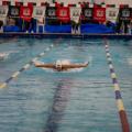 pessoas nadando na piscina #paratodosverem