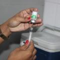 mãos seguram seringa enfiada em frasco de vacina. #paratodosverem