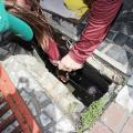 duas agentes se curvam sobre ralo para verificar existência de larvas. #paratodosverem