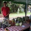 Um domingo de muitas atrações no Jardim Botânico