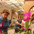Mulheres observam orquídeas. #pratodosverem