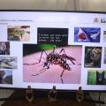 computador com informações sobre a doença #paratodosverem 