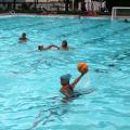 jogo de poló aquático em piscina. #paratodosverem 