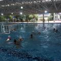 jovens disputam jogo na piscina. Do lado esquerdo e ao fundo se vê a trave sobre a água. #Paratodosverem