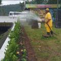 homem uniformizado esguicha água de mangueira em canteiro com flores à margem de um canal. Ele está sobre a grama. #paratodosverem
