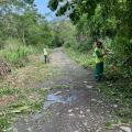 Funcionários da Regional retiram vegetação cortada de pista. #paratodosverem