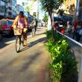 mudas plantadas na ciclovia enquanto ciclista passa de bicicleta #pracegover 