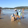 jovens coletam lixo na praia #paratodosverem 
