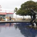 Escola Radical de Surfe. #Paratodosverem