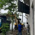 Revitalização em trecho da Avenida Rangel Pestana, em Santos, entra na fase final