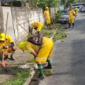 homens uniformizados raspam calçada cheia de mato. #paratodosverem