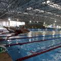 Atleta está mergulhando na água. Seu corpo dá a impressão de voar sobre a água. #Paratodosverem