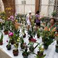 Final de semana com feiras de Orquídeas e de Orgânicos no Orquidário