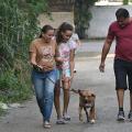 família de três pessoas caminha com cão. #paratodosverem