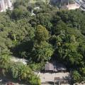 vista aérea do orquidário, com destaque para uma grande massa verde. #paratodosverem 
