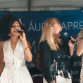 cantores em palco #paratodosverem