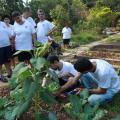 Ainda há vagas para curso gratuito de Jardinagem no Botânico de Santos