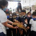 crianças tocam e olham surpresas para lagosta que está na mão de uma mulher. #paratodosverem