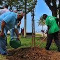 homens plantando árvore no jardim da orla #paratodosverem