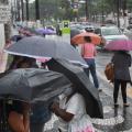 pessoas de guarda chuva em ponto de ônibus com vários carros passando na avenida #paratodosverem