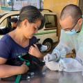 profissional colhe sangue da patinha de cão enquanto tutora segura #paratodosverem