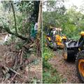Rio da Área Continental, em Santos, é desobstruído após remoção de árvores