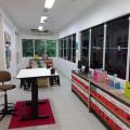 Orquidário de Santos abre inscrições para oficina de arte com material reciclável