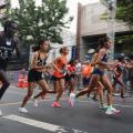 Caminhada e corrida Porto Cidade agita o Centro de Santos neste domingo