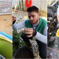 Mutirão contra o Aedes elimina 89 focos com larvas no Marapé, em Santos