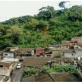 Morro da Caneleira, em Santos, terá obras de drenagem e contenção de encosta